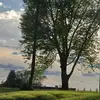 Micah Buckmaster - @micahbuckmaster - TikTok