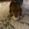 micah.bush1 - @micah.bush1 - TikTok