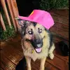 Amicah Carroll - @amicah.carroll - TikTok