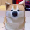 Micah Carroll - @micah.carroll.119 - TikTok