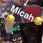 @micah_curtis_doe - Instagram