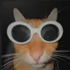 micah - @micah_curtis - TikTok