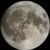 Micah Daniel - @micah.daniel64 - TikTok