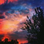micah fields - @micah3fields - Instagram