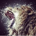 Micah Fields - @0fficial_mufasa.xx - Instagram