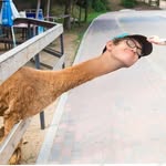 Micah Flint fan club - @micah_flint_fan_club - Instagram