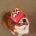 Micah Floyd - Facebook