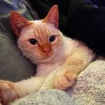 Micah Fuller - @avalonpartymick - Instagram