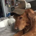Micah Hanson - @bigmikexl_priv - Instagram
