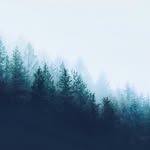Micah Keller - @secertphotographer - Instagram