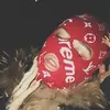 micah de leon - @mikeyyvibez - TikTok