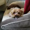 murphymicah55 - @micah.murphy.07 - TikTok
