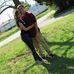 Micah Parker - Facebook