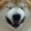 micah_pendleton - @micah_pendleton - TikTok