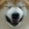 micah.pendleton - @micah.pendleton - TikTok