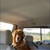 Micah Potts - Facebook
