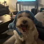 Micah Redden - @skolmicah - Instagram