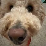 Micah Rocha - @micahtron2k - Instagram