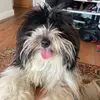 Micah - @micahshaw12 - TikTok