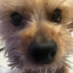 Micah Shaw - @micah996580 - Instagram