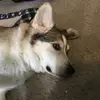 Micah Small - @micah3448 - TikTok