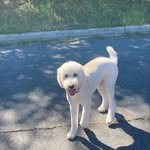 Micah Davis - @micah_tanner_davis - Instagram
