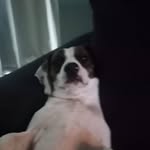 Micah Faloon - @micahwadefaloon - Instagram