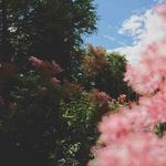 MICAH - @micah_____wade728a - Instagram