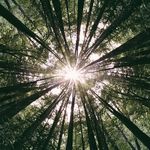 Micah Wallace - @picsbymicah - Instagram
