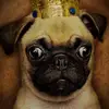 micahwallace63 - @pugking949 - TikTok