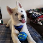 Micah West Ahrens - @micahwestahrens - Instagram