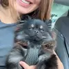 micahthebabywolf - @micahthebabywolf - TikTok