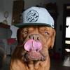 michaelgartz887 - @michaelgartz887 - TikTok
