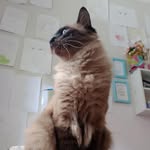 Micha - @michamoon2127 - Instagram