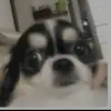 Micha - @michamoon66 - TikTok