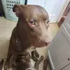 MRT - @michataylor28 - TikTok