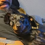MRT - @michataylorblue - Instagram