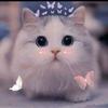 user2200107512909 - @michaelabadiao2007 - TikTok