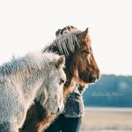 Fotograf Michaela Bång - @michaelabangfoto - Instagram