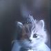 Michael Abdon - Facebook