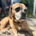 Michael Abele - @michi88133 - Instagram