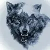 michaelabramowitz200 - @michaelabramowitz - TikTok