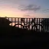 Michael Absalom - @michael.absalom64 - TikTok