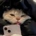 Michael Absalon - Facebook