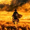 michael - @michael.ackerman01 - TikTok