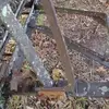 Michael Ackerman - @michael.ackerman7 - TikTok