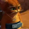 Michael Ackerman - @michael.ackerman - TikTok