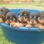 Admire Michael Masango - @admiremichaelmasango - Instagram