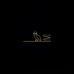 Michael Adrian - Facebook