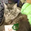 Michel Affolter445 - @michelaffolter445 - TikTok